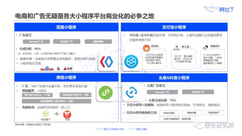 2020年上半年小程序互聯網發(fā)展白皮書 